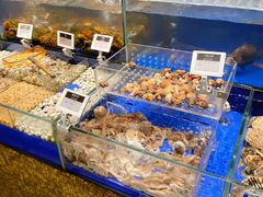 水产区-高佳庄·舟山海鲜(海景旗舰店)