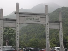 -龙坞茶村