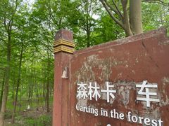 -上海海湾国家森林公园