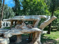 -北京野生动物园