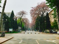 -天幕新彩云国际影城(激光巨幕店)