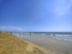 -日照海滨国家森林公园