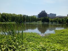 -长兴太湖图影湿地文化园
