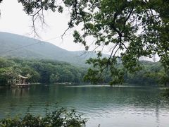 -紫霞湖公园