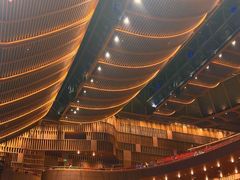 -交通银行前滩31演艺中心