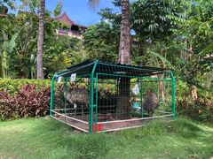 -西双版纳融创皇冠假日度假酒店