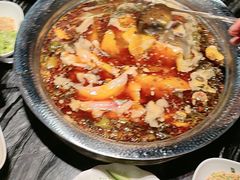 -老船舫·现做活鲜鱼馆(东郊记忆店)