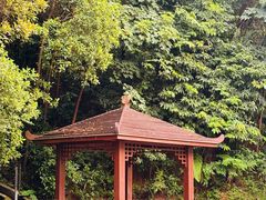 -火炉山森林公园