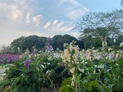 -松山湖梦幻百花洲