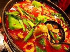 湘味肥肠火锅-湘肠香火锅店(团结湖店)