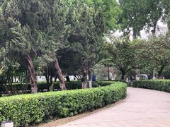 -莲湖公园