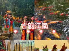 -白家大院·王府宫廷菜(苏州街店)