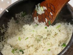 -饭怕鱼·黄焖鲟龙鱼(湖大店)