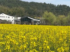 -东钱湖旅游度假区