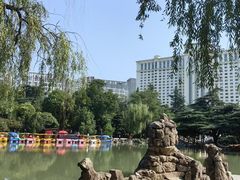 -西苑公园