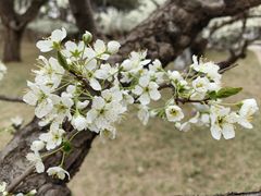 -元大都城垣遗址公园