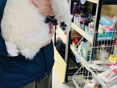 -久久宠物(河东万达店)