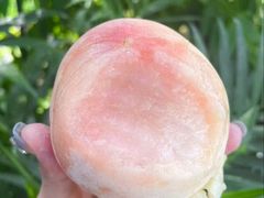 -老袁家蜜桃农场·阳山水蜜桃