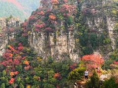 -龙洞风景区-藏龙涧