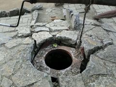 -微山湖红荷湿地景区