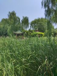 点击看大图 -宝馨月月子中心(友谊医院店)