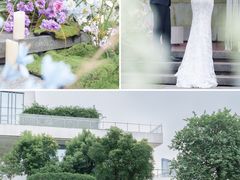 -广州白天鹅宾馆