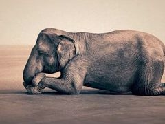 -丽江泸沽湖景区