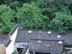 -巴倒烫陆派重庆火锅(南山店)