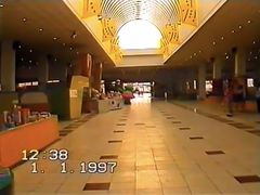 -中加枫华国际学校