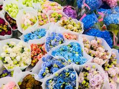 -双季花艺园艺市场(浦东店)