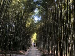 -上海市龙华烈士陵园