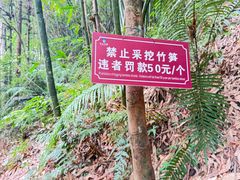 -赤水丹霞旅游区·大瀑布