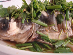 -幸福树餐厅