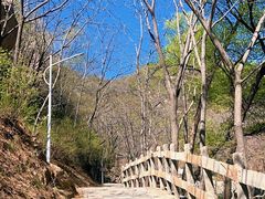 -大岭沟猕猴桃谷风景区