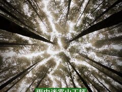-山王坪喀斯特国家生态公园