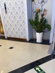 -武汉五洲整形外科医院