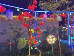 -醉二娘正宗西昌火盆烧烤(大丰店)