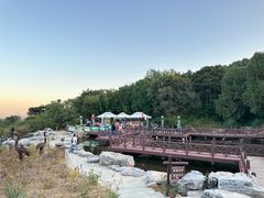 -北京西山国家森林公园