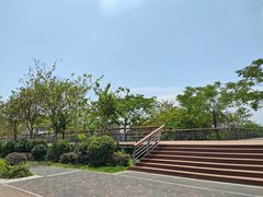-立新湖公园