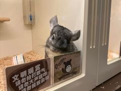 -龙猫仔乐园(惠福东路店)