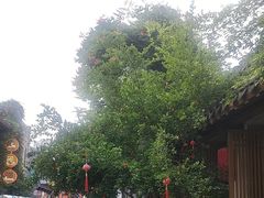 -鲤院·新中式美学·庭院餐厅(夫子庙店)