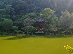 -云溪植物园