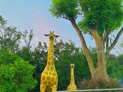 -清泉湾生态旅游度假区