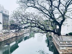 -青果巷历史文化街区