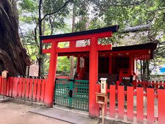 -奈良公园