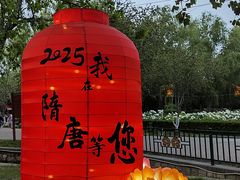 -洛阳市隋唐城遗址植物园