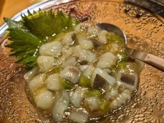 -松涛日本料理