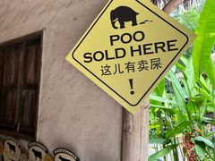 -大象粑粑造纸公园