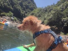-安吉龙王山峡谷漂流