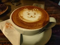 -樹下遇见树·咖啡